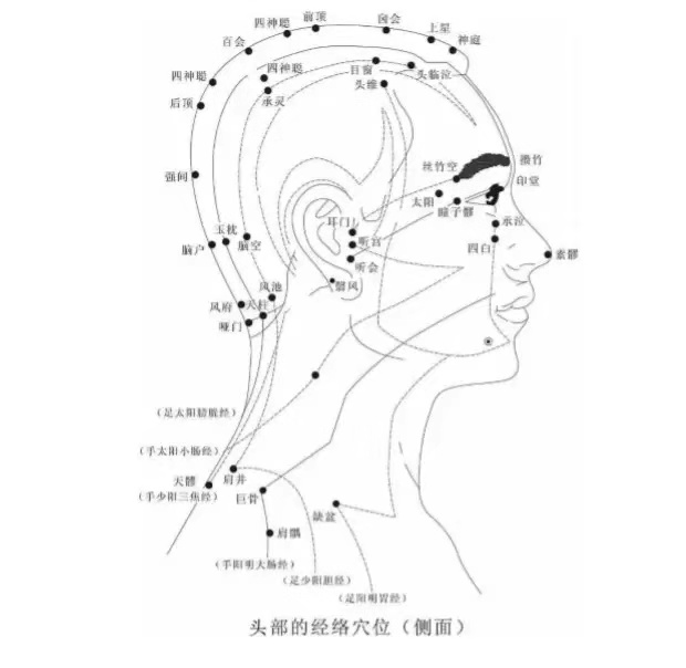 經絡治療儀 經絡治療儀
